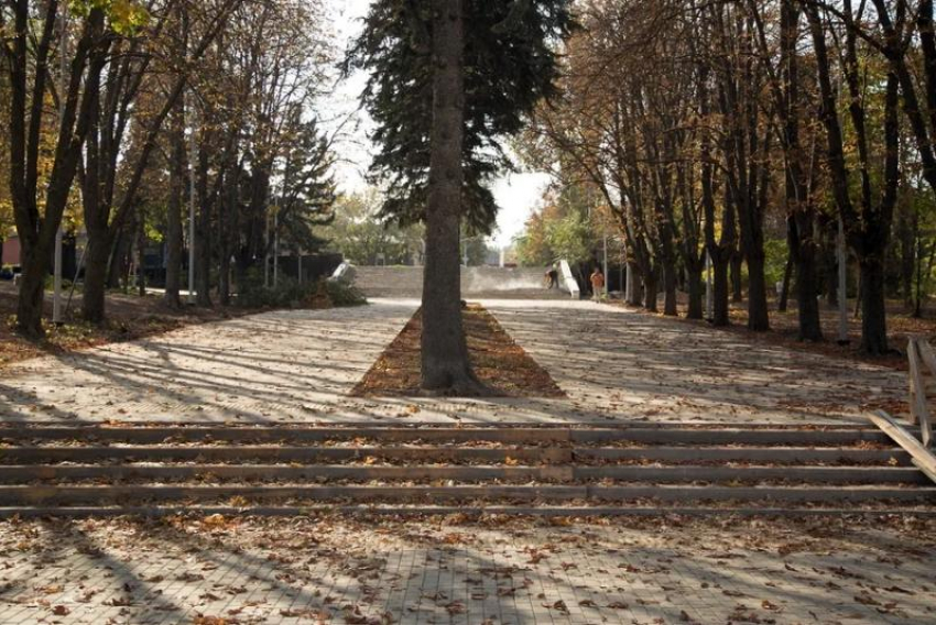 В Ростове-на-Дону создали дирекцию городских парков
