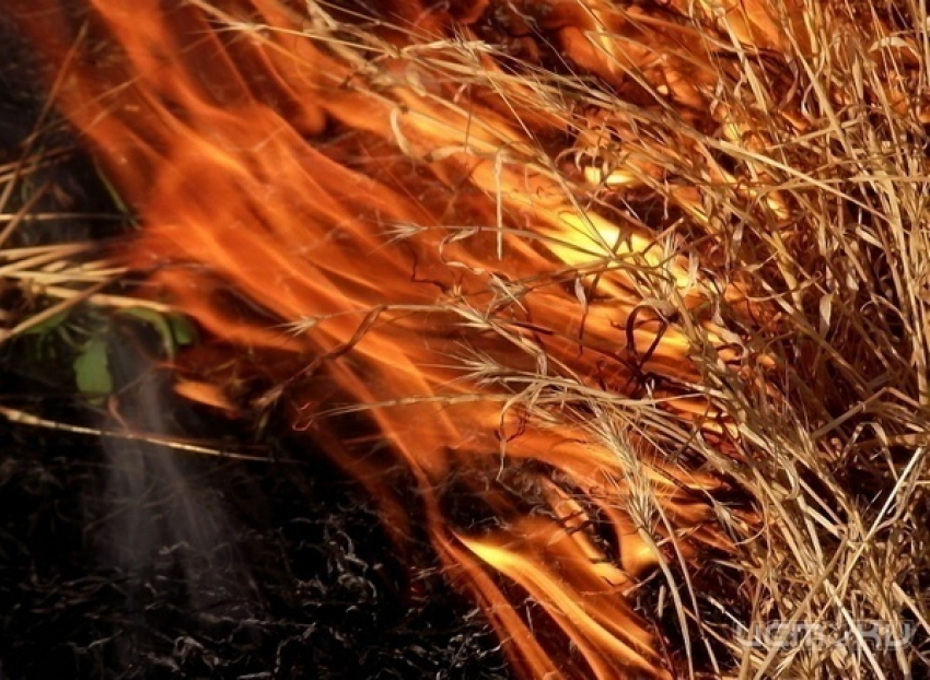За сутки в Ростовской области 59 раз загоралась сухая растительность