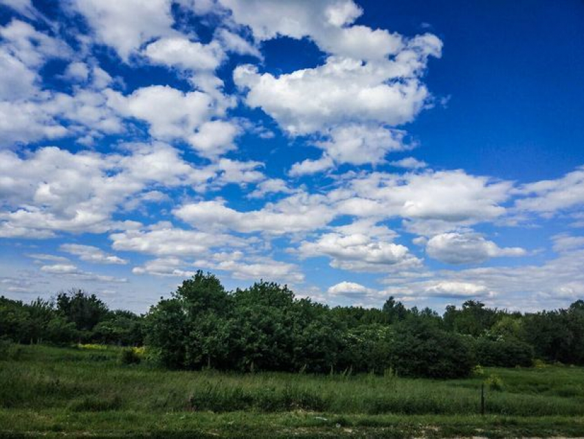 Солнечное воскресенье порадует ростовчан теплом