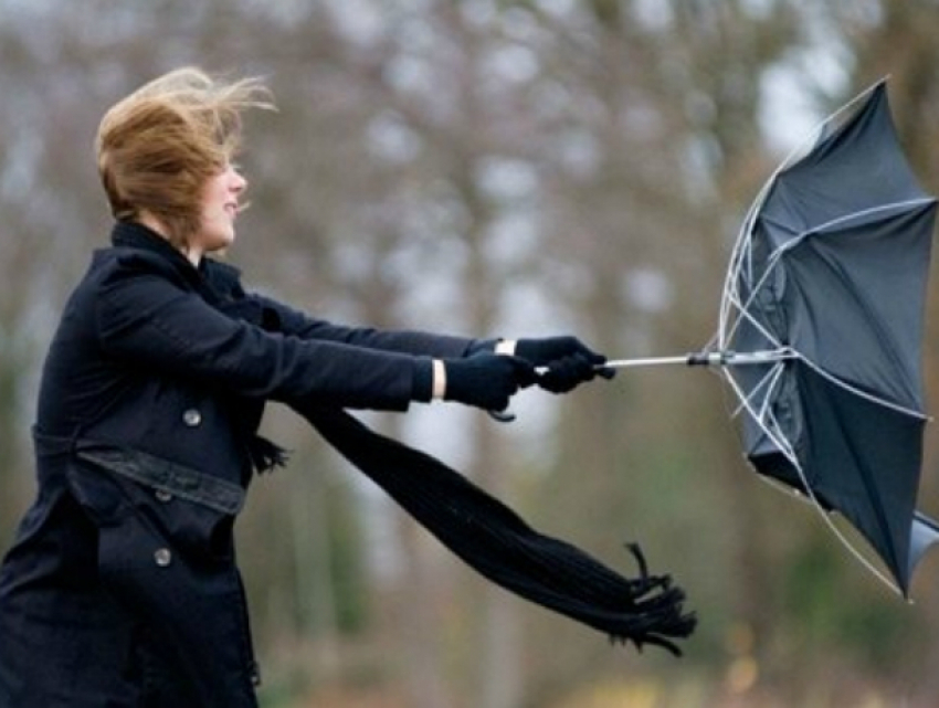 Пасмурная и ветреная погода подпортит субботний выходной жителям Ростова