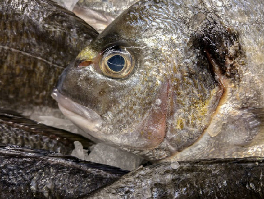 Вяленой рыбкой, несущей инфекцию и отравления, торговали ростовские «Ашаны» и «Магниты"