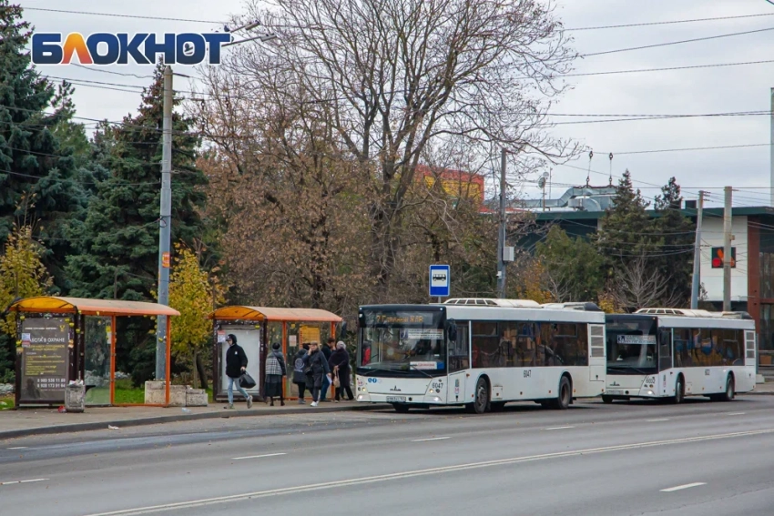 Циклон из Атлантики принес аномальное тепло в Ростовскую область