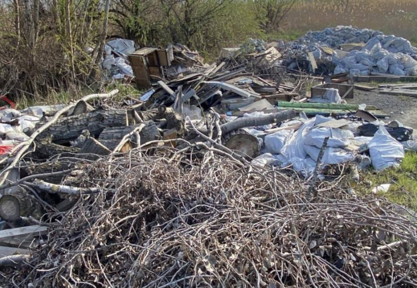Проезжающие мимо Ростова экологи засняли свалку из окон поезда