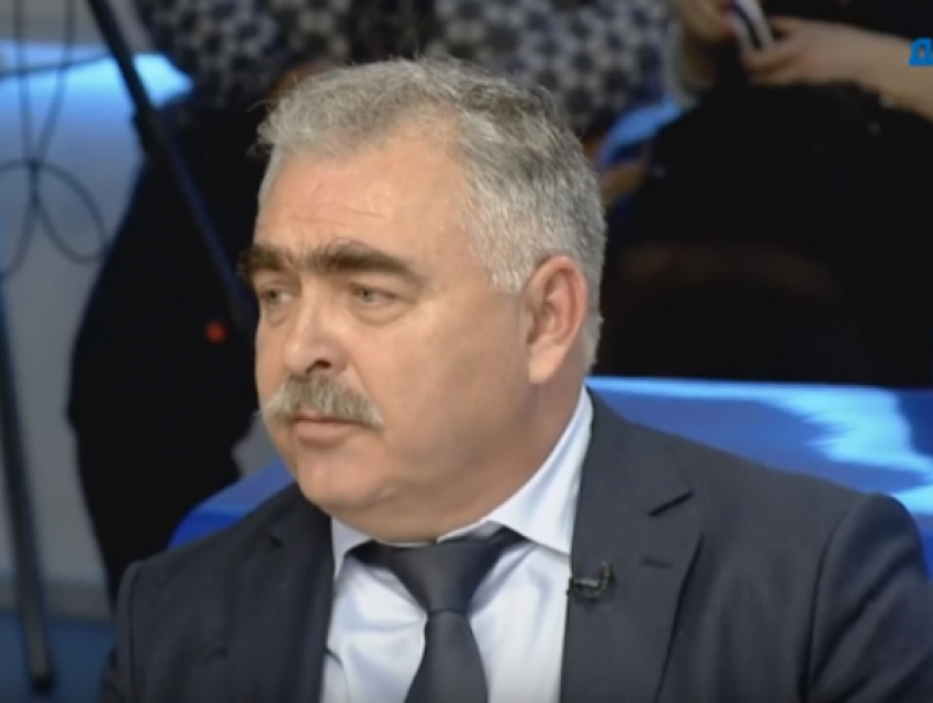 Владимир Сакеллариус: бездомных животных во время ЧМ 2018 не будут убивать