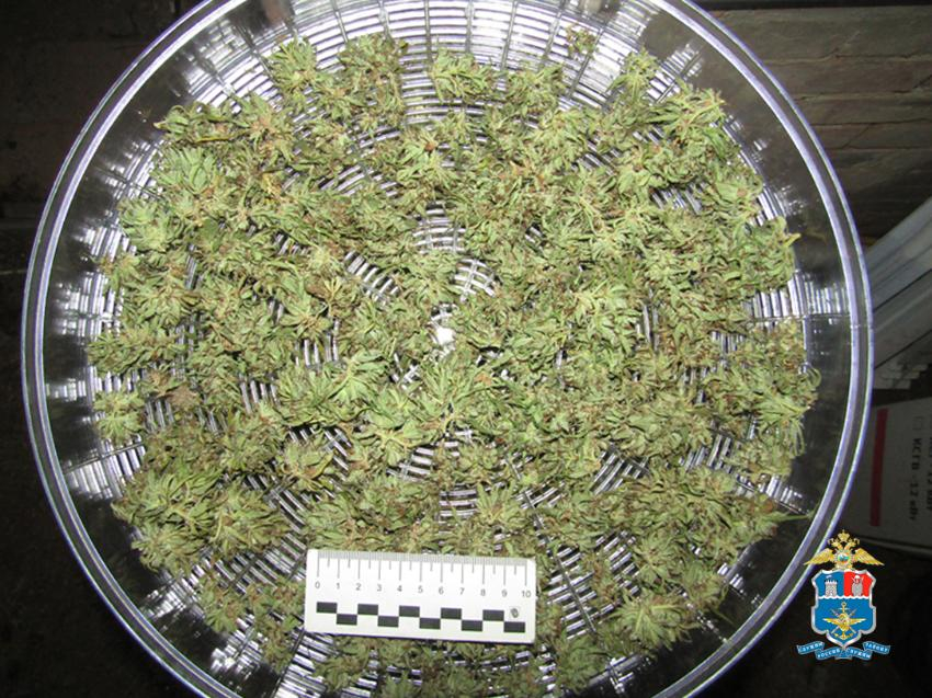 На Дону задержали мужчину с 50 граммами марихуаны