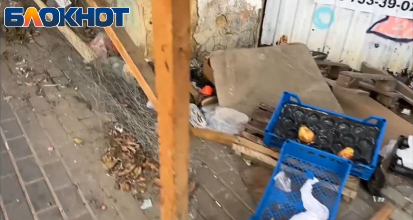 Ростовчане жалуются на летающий по воздуху мусор в центре города 