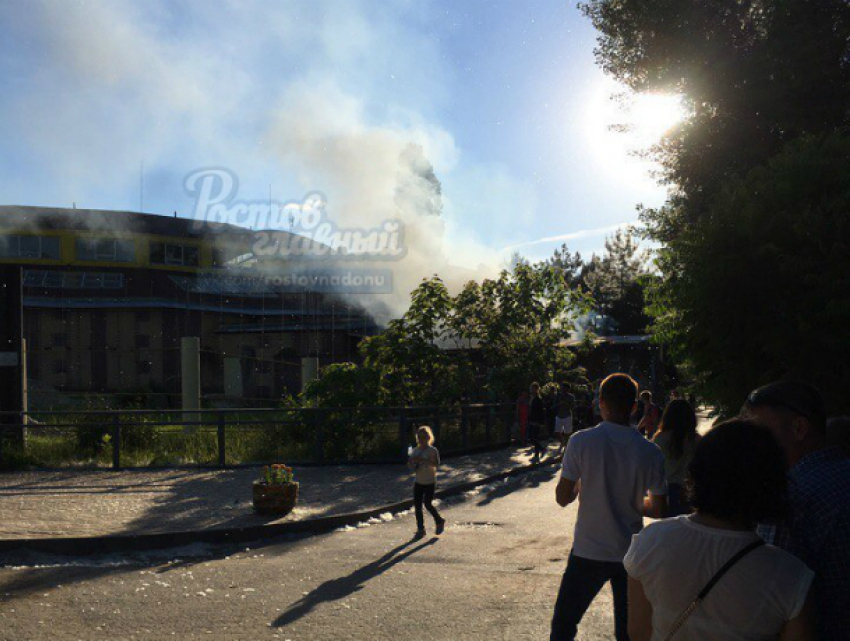Клубы черного дыма в слоновнике взбудоражили посетителей ростовского зоопарка