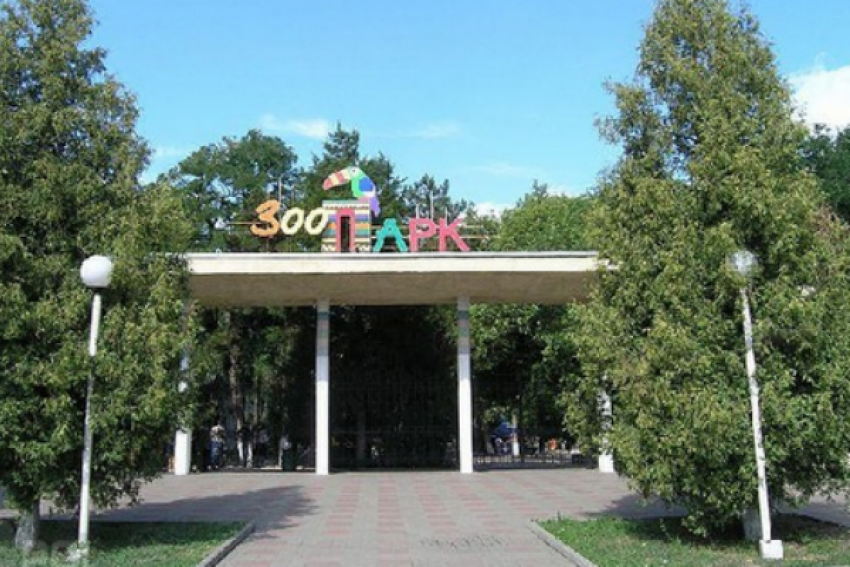 В день защиты детей вход в ростовский зоопарк будет бесплатным
