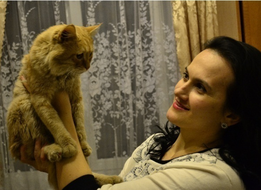 В Ростове-на-Дону спасли кота, упавшего в вентиляционную шахту