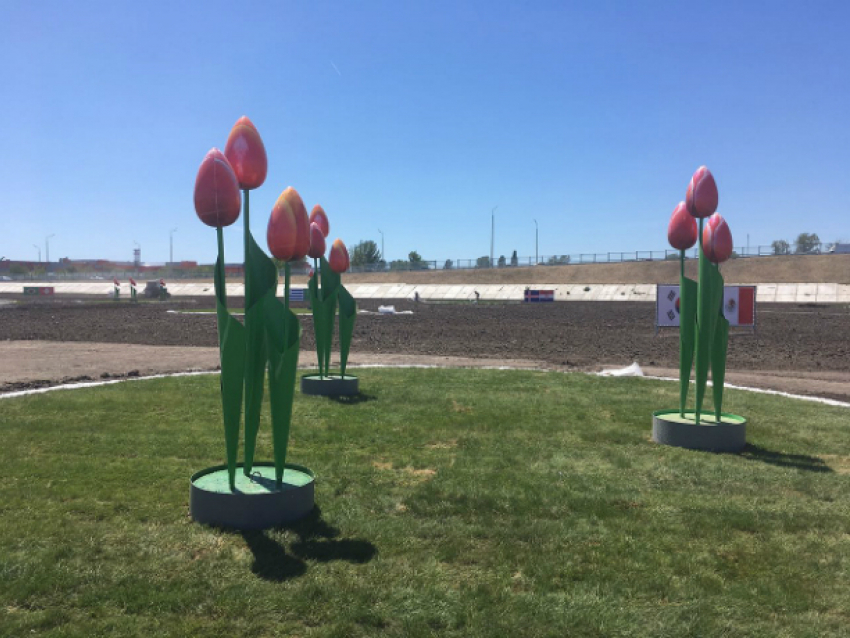 Гигантские тюльпаны выросли в пустыне вокруг «Ростов-Арены"
