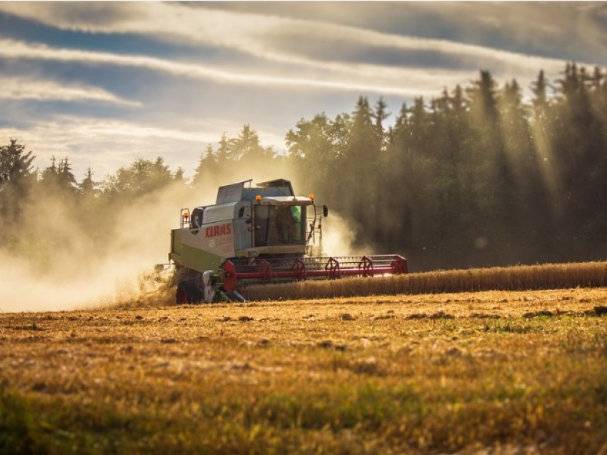 В Ростовской области потратят более 5 млрд рублей на развитие АПК