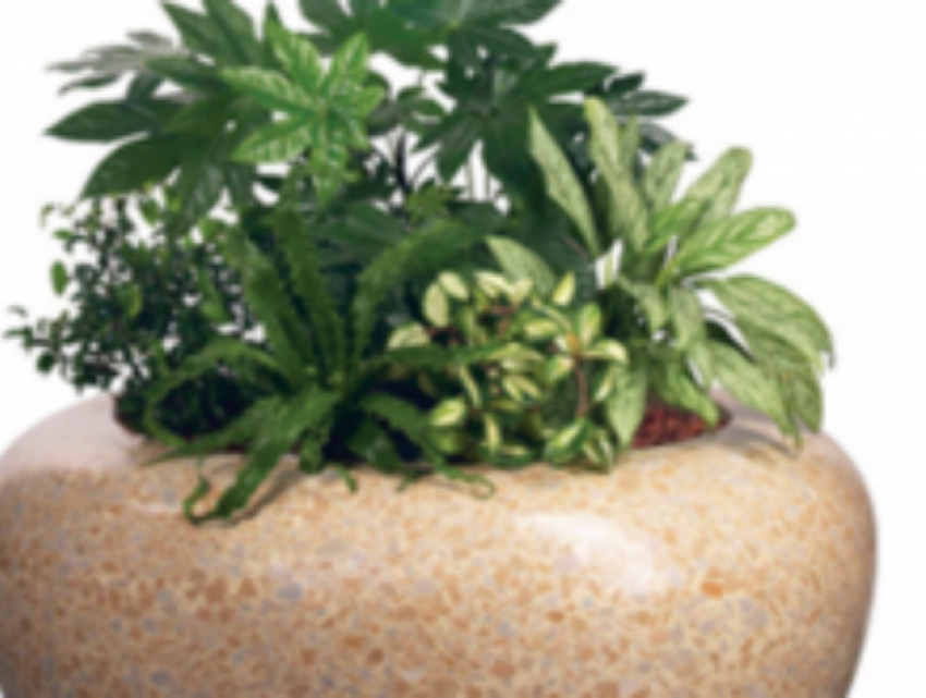 «Космическими» вазонами, урнами и скамейками за четыре миллиона рублей облагородят улицы Ростова