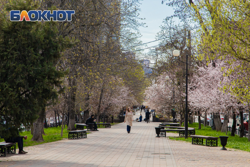 В Ростове 19 мая будет тепло и дождливо