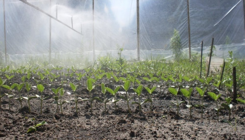 На мелиорацию Ростовской области выделено 4 млрд рублей