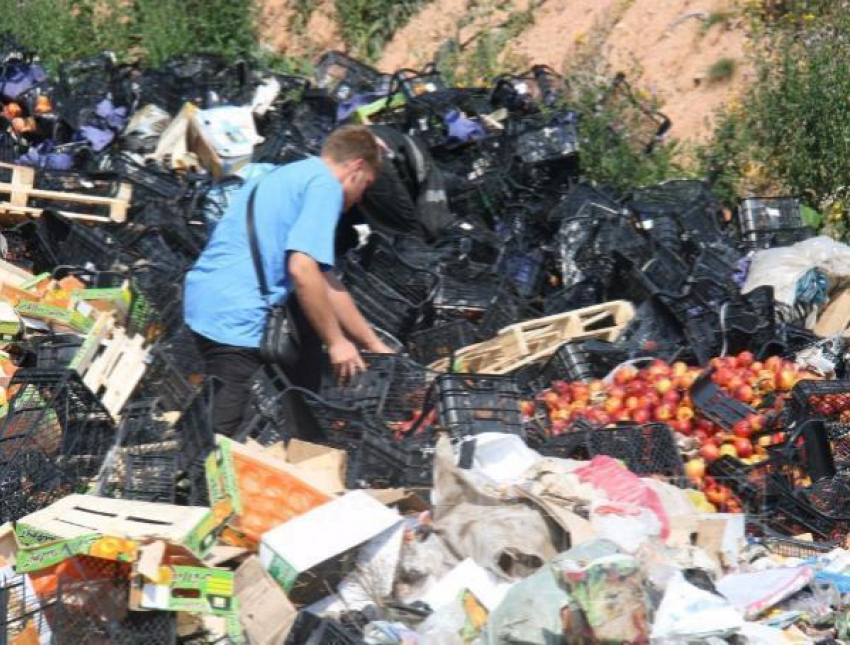 Более 600 кг овощей без фитосанитарных документов уничтожили на Дону
