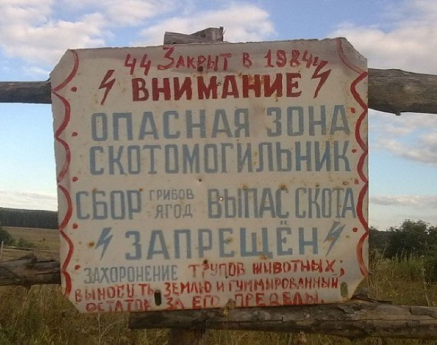 Природоохранная прокуратура через суд обязала правительство Ростовской области обустроить скотомогильник сибирской язвы