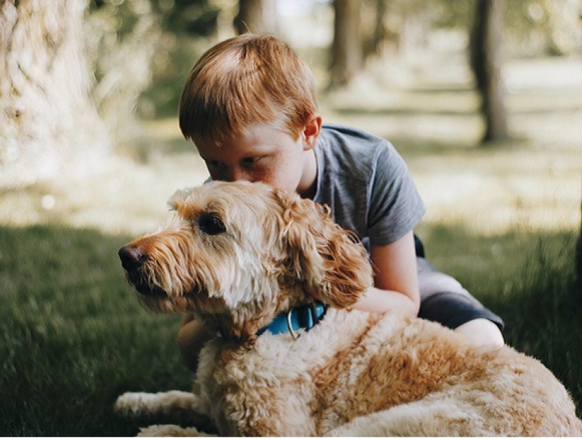 Как подготовить питомца к лету: расскажут специалисты в День ветеринарного врача 