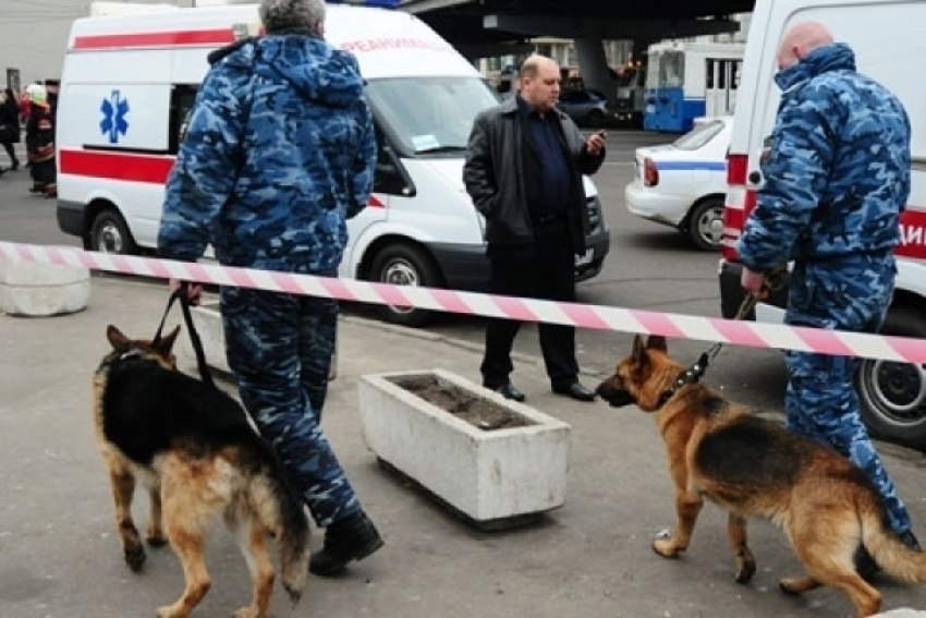 «Телефонного террориста» из Ростовской области оштрафовали на 10 тысяч рублей