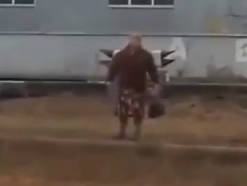«Уродливыми свиньями» назвала пассажиров автовокзала темпераментная дама в Ростовской области