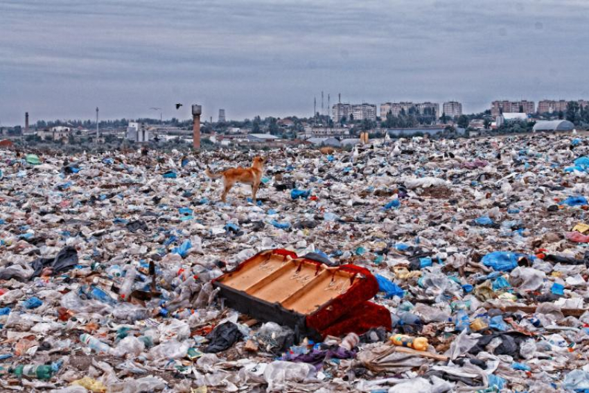 Суд запретил мусорный полигон на участке в Ростовской области