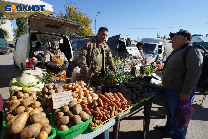 В Ростовской области резко подоражал картофель из-за дорогих удобрений