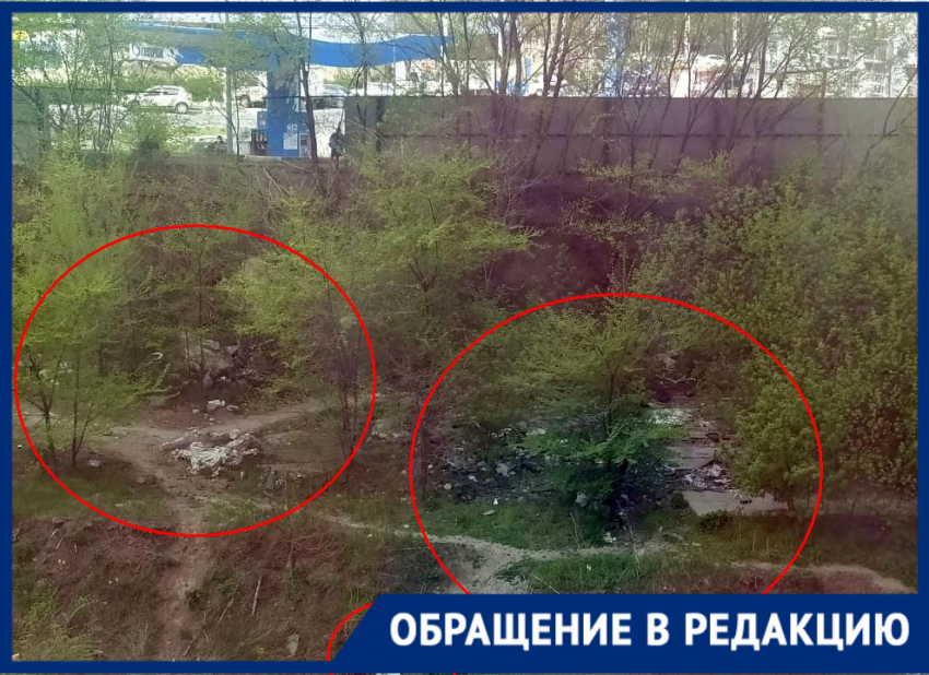 «Под окнами свалка уже почти год не убирается»: ростовчанка пожаловалась на бездействие властей