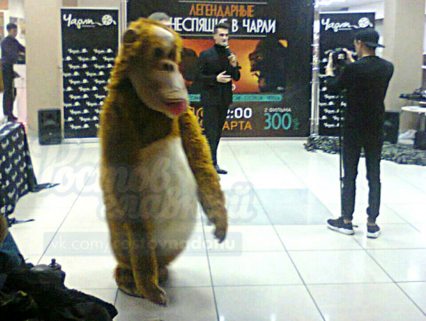 Страшно-забавный Кинг Конг вызвал насмешки у посетителей торгового центра в Ростове
