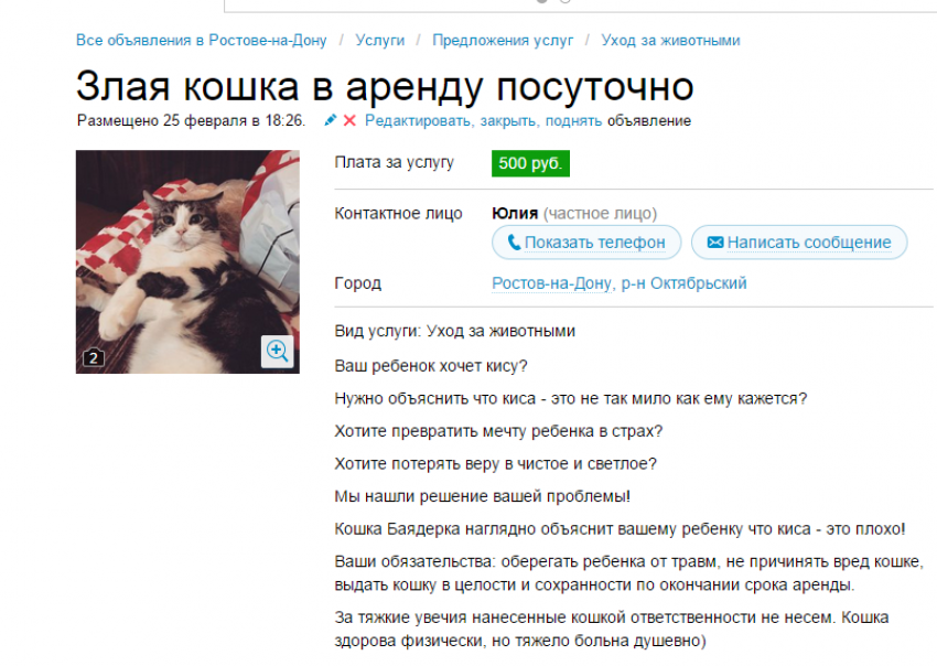 В Ростове два человека всерьез восприняли аренду «злой кошки посуточно»