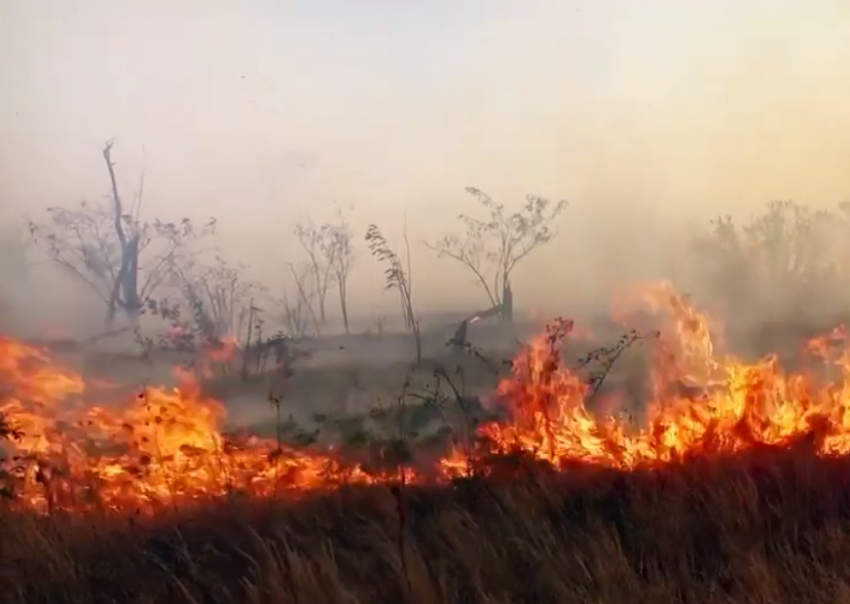 В 2024 году в Ростовской области в 5 раз выросло число ландшафтных пожаров