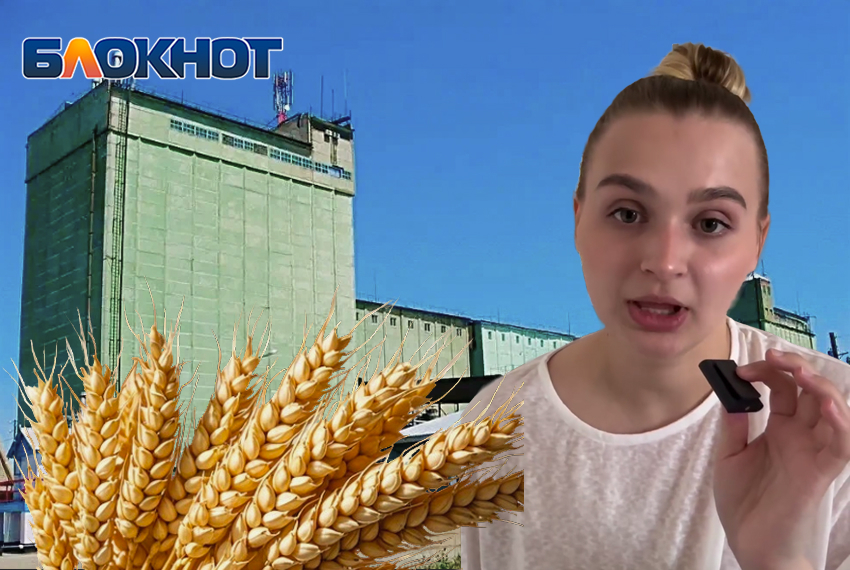 Донские фермеры не получили миллионы за десятки тонн пшеницы