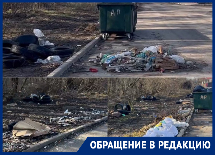 Бомжи и собаки растаскивают мусорную свалку возле Можайской рощи 