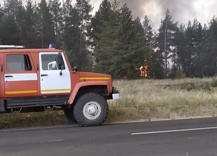 Крупный пожар в Ростовской области удалось частично локализовать