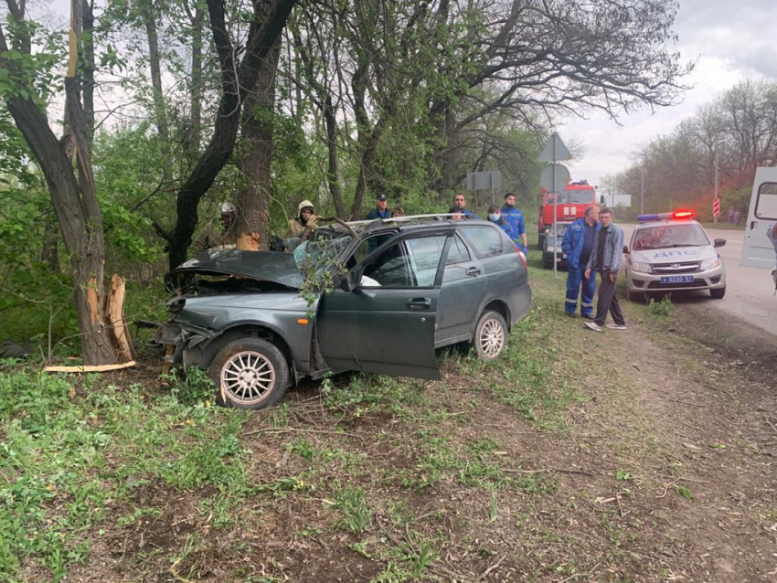 В Ростовской области водитель легковушки погиб после удара о дерево