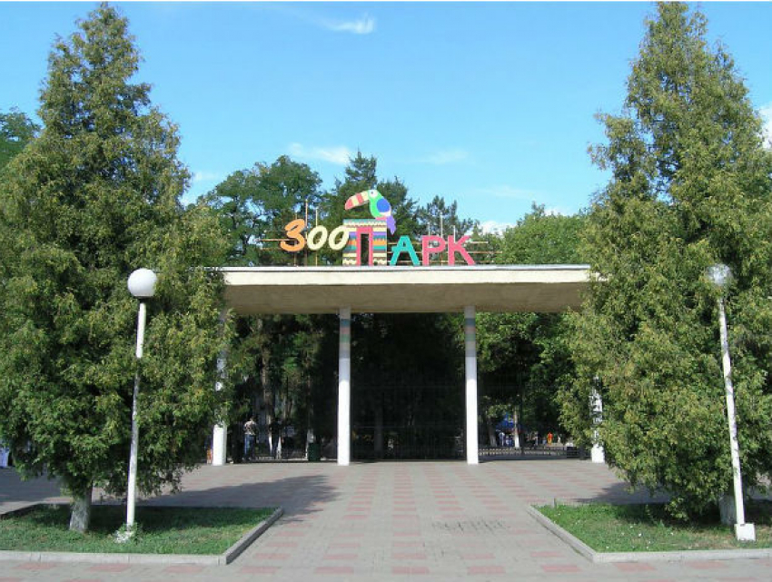 Календарь: день рождения отмечает ростовский зоопарк