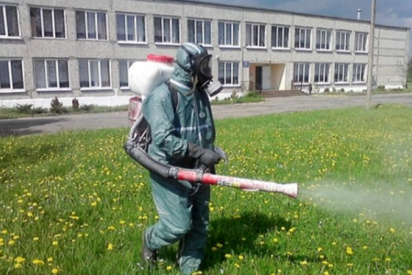 В Ростовской области наблюдается повышенная активность клещей