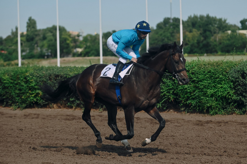 Сезон на Ростовском ипподроме начнётся 24 мая после возвращения объекта в госсобственность
