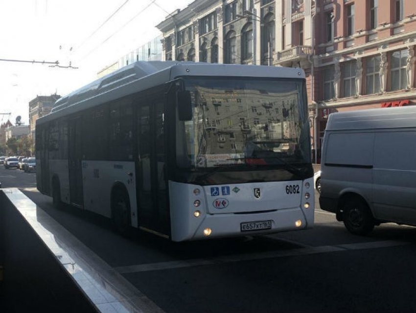 Оплачивать проезд умными часами и пользоваться льготами в маршрутках смогут ростовчане с 1 ноября