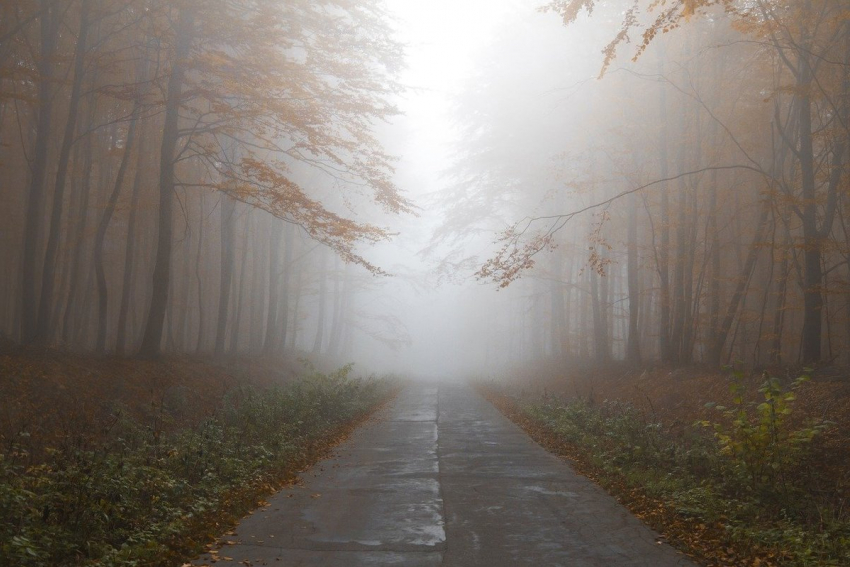 Туман и прохладно: прогноз погоды в Ростове на 19 ноября