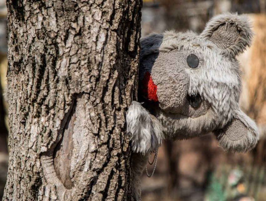 Холодная и солнечная суббота ждет ростовчан 3 ноября