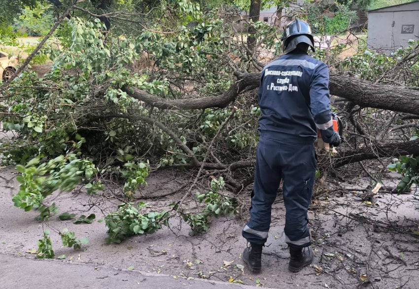 В Ростове на Западном на школьника упало дерево