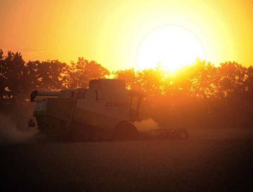 Солнечно и местами опять солнечно: прогноз погоды на 29 августа