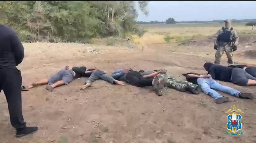 Угнали скот: ОПГ похитила коров на три миллиона на Дону  