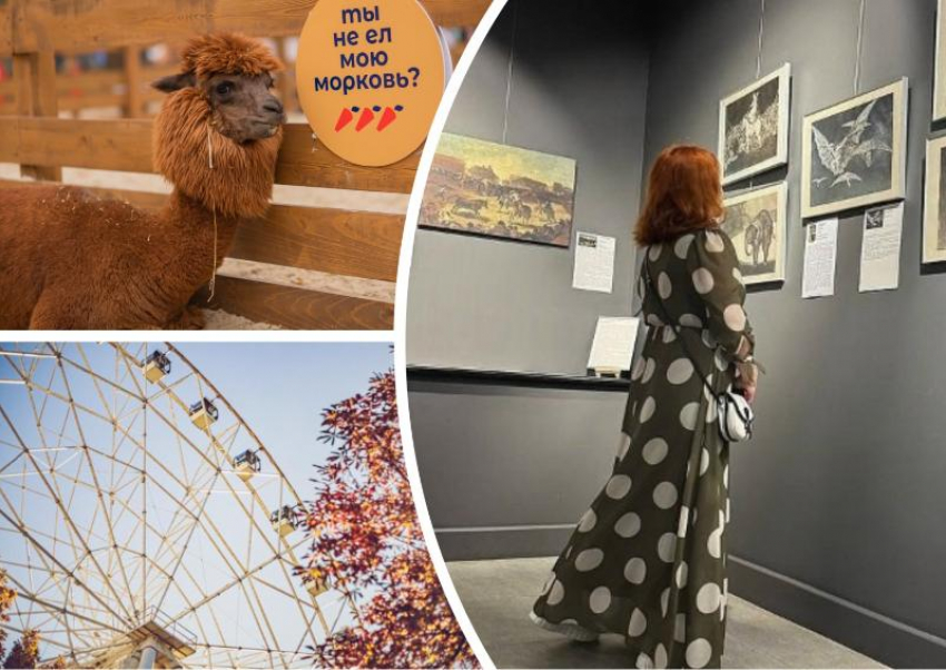 Посетить вечер Фаины Раневской, сходить на день рождения альпак: как провести выходные в Ростове
