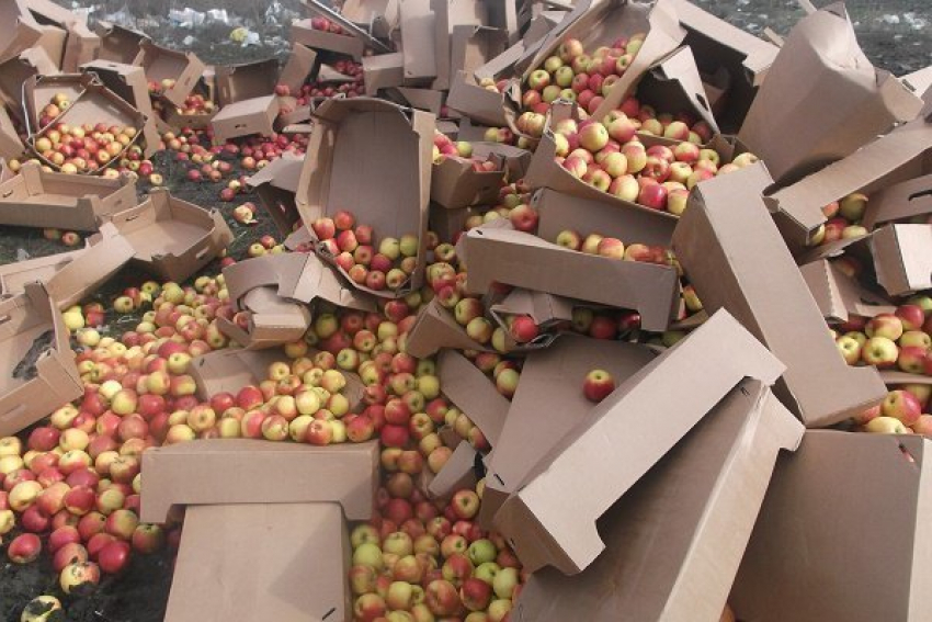 20 тонн санкционных яблок  попали под колеса бульдозера в Ростовской области