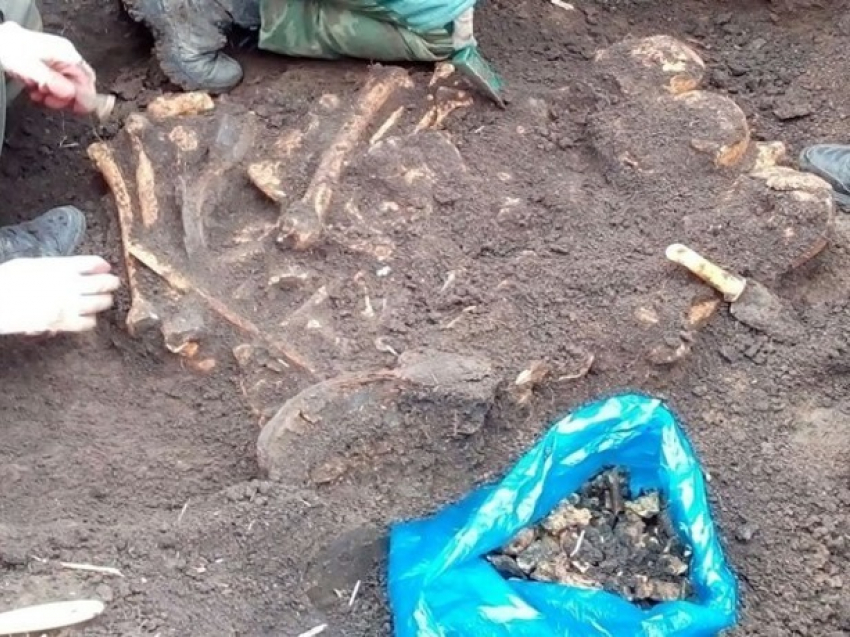 Археологи в Ростовской области обнаружили новые захоронения погибших во время ВОВ солдат 