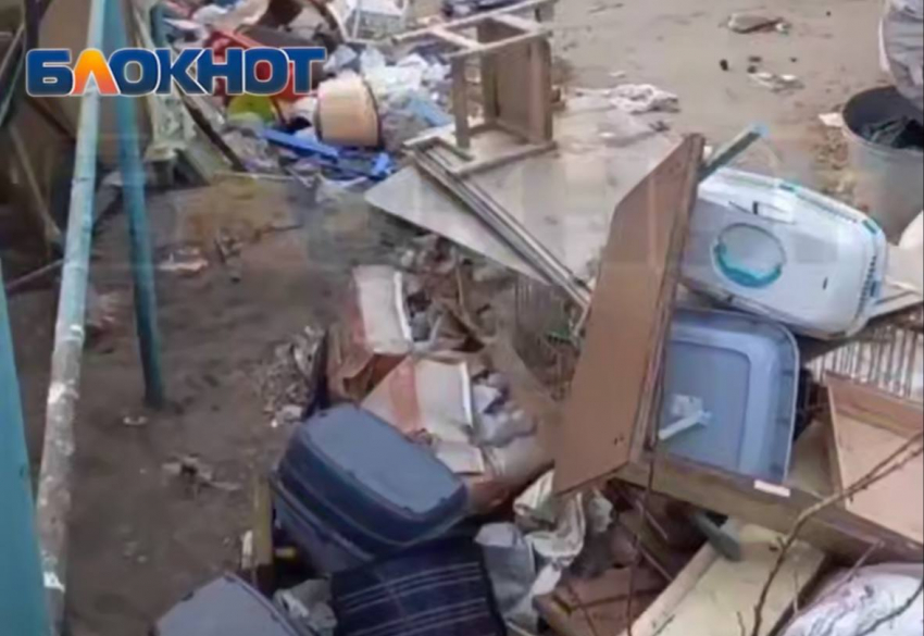 Привозила животных, запирала и уезжала: приют, где нашли трупы питомцев, работал неофициально 