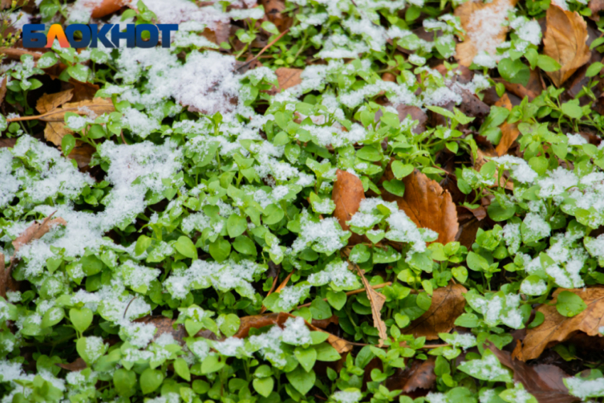В Ростове на этой неделе ожидается дождь со снегом, сильный ветер и гололед
