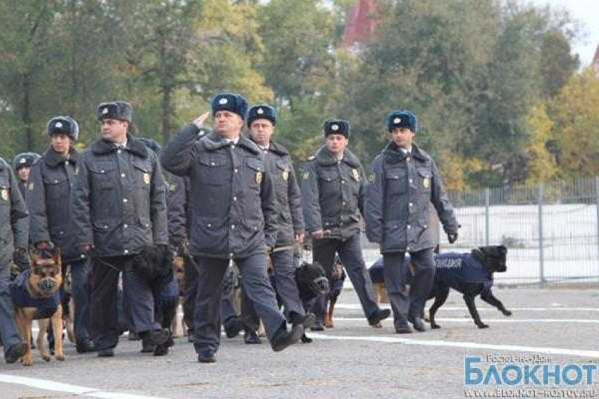 В Ростове служебным собакам сшили зимнюю униформу  