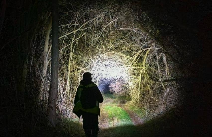 Более 20 пенсионеров и пожилых людей пропадает ежемесячно в Ростовской области