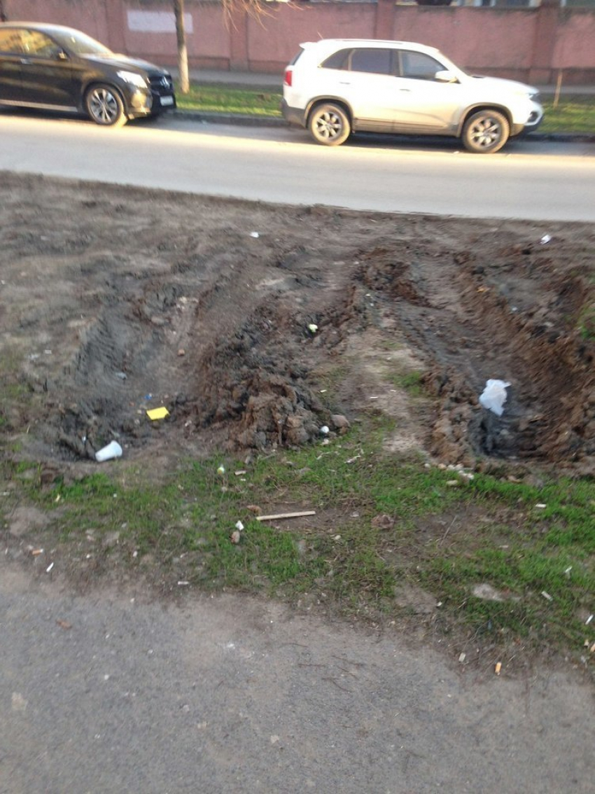 Газон в центре Ростова превратили в парковку 
